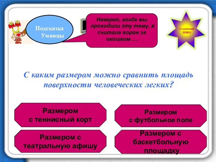 С каким размером можно сравнить площадь поверхности человеческих легких? Размером с теннисный корт