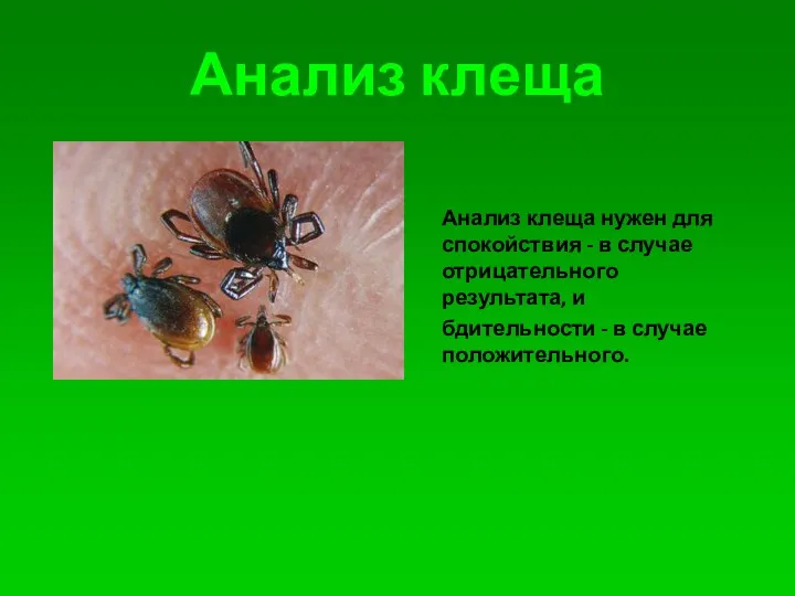 Анализ клеща Анализ клеща нужен для спокойствия - в случае отрицательного результата, и