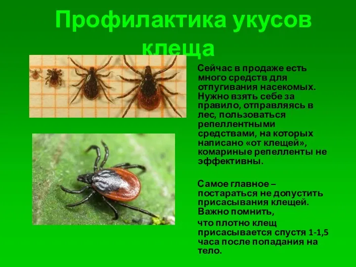 Профилактика укусов клеща Сейчас в продаже есть много средств для отпугивания насекомых. Нужно