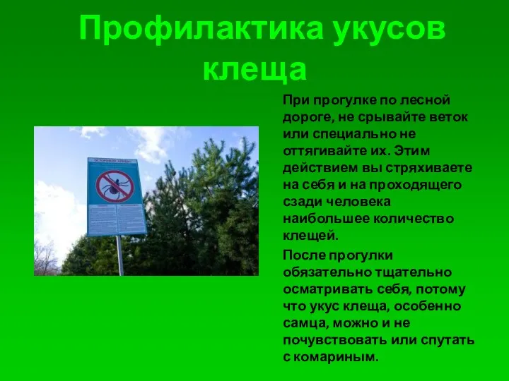 Профилактика укусов клеща При прогулке по лесной дороге, не срывайте веток или специально