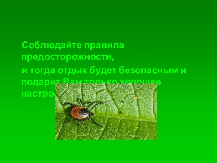 Соблюдайте правила предосторожности, и тогда отдых будет безопасным и подарит Вам только хорошее настроение!