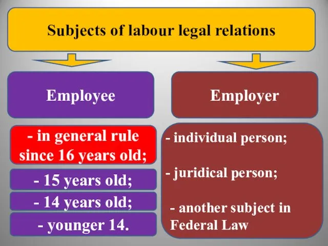 Subjects of labour legal relations Employee Employer individual person; juridical