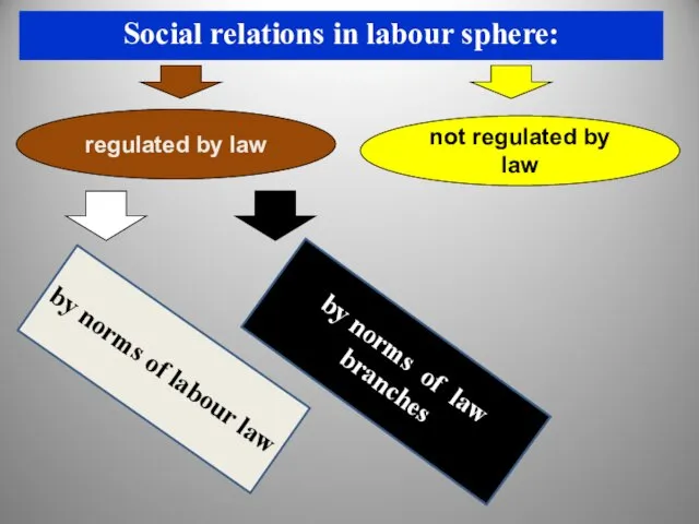 by norms of labour law Social relations in labour sphere: