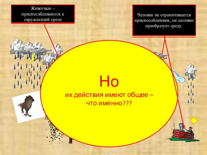 Человек не ограничивается приспособлением, он активно преобразует среду. Животные –