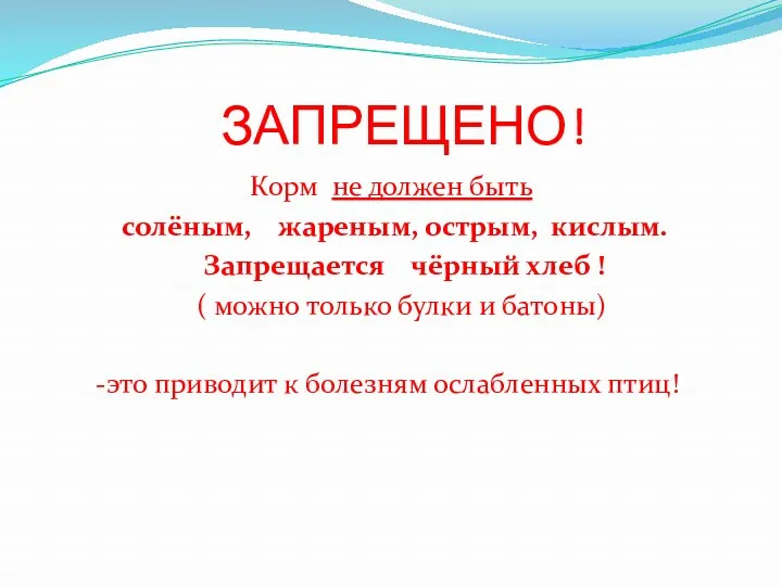 ЗАПРЕЩЕНО! Корм не должен быть солёным, жареным, острым, кислым. Запрещается