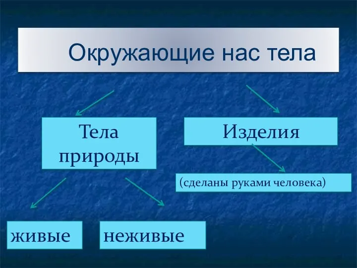 Тела природы Изделия живые неживые (сделаны руками человека) Окружающие нас тела