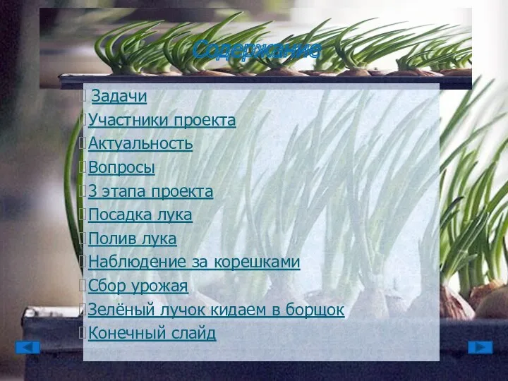 Содержание Задачи Участники проекта Актуальность Вопросы 3 этапа проекта Посадка