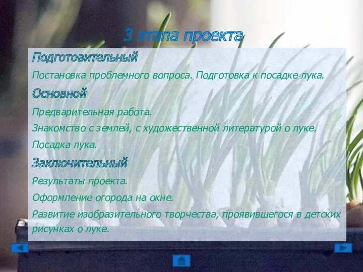 Подготовительный Постановка проблемного вопроса. Подготовка к посадке лука. Основной Предварительная