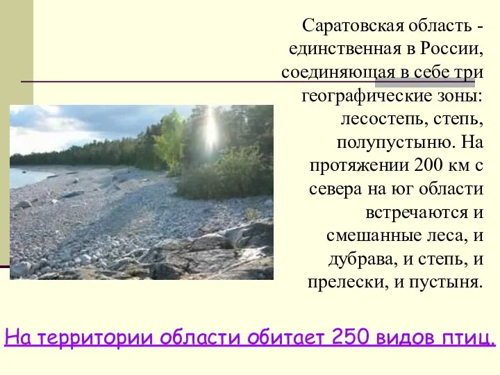 Саратовская область - единственная в России, соединяющая в себе три географические зоны: лесостепь,