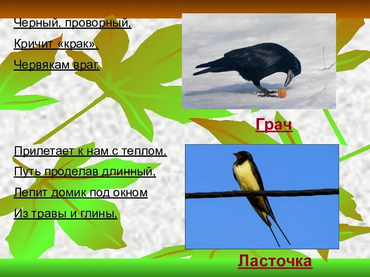 Черный, проворный, Кричит «крак». Червякам враг. Прилетает к нам с теплом. Путь проделав
