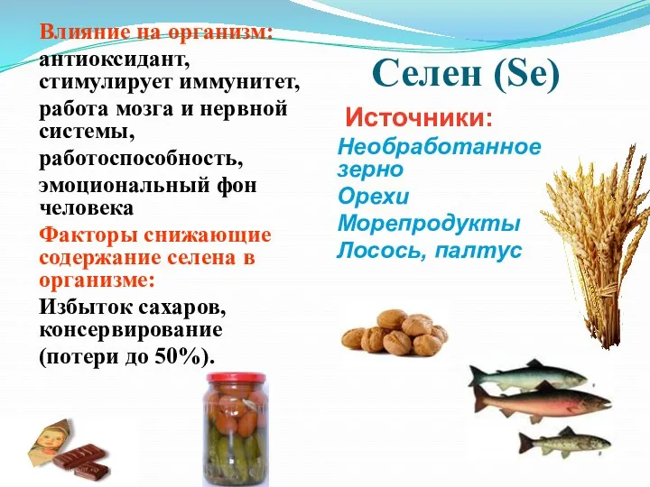 Селен (Se) Источники: Необработанное зерно Орехи Морепродукты Лосось, палтус Влияние
