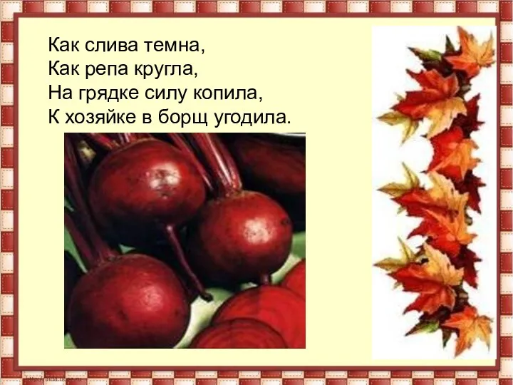 Как слива темна, Как репа кругла, На грядке силу копила, К хозяйке в борщ угодила.