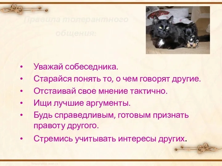 Правила толерантного общения: Уважай собеседника. Старайся понять то, о чем