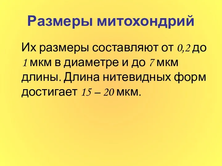 Размеры митохондрий Их размеры составляют от 0,2 до 1 мкм