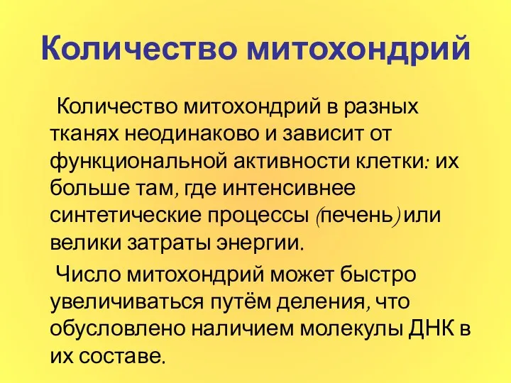 Количество митохондрий Количество митохондрий в разных тканях неодинаково и зависит