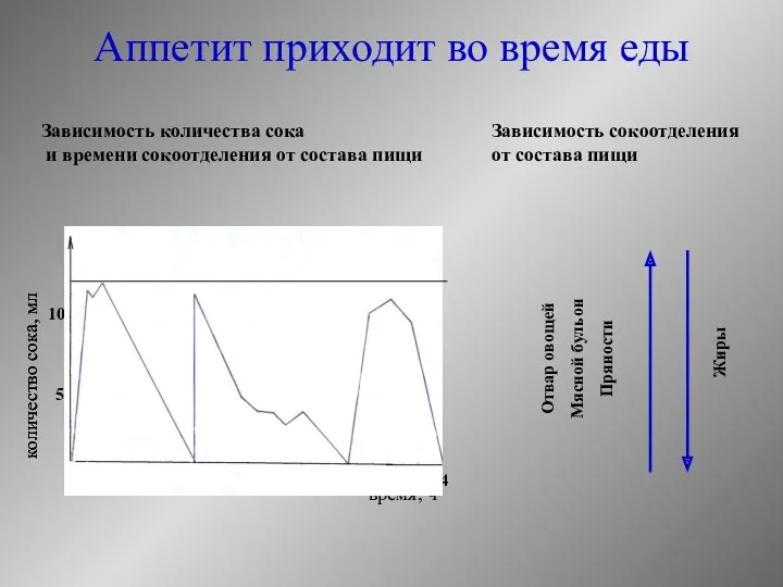 Аппетит приходит во время еды Зависимость сокоотделения от состава пищи