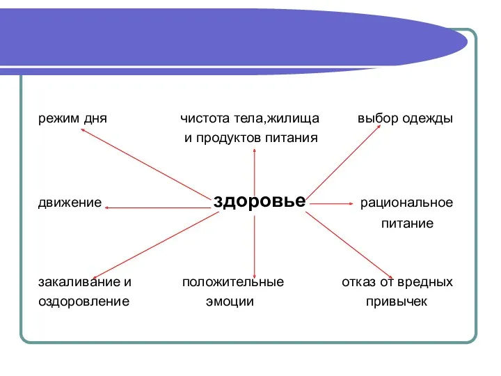 режим дня чистота тела,жилища выбор одежды и продуктов питания движение