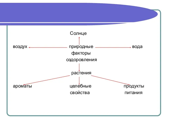 Солнце воздух природные вода факторы оздоровления растения ароматы целебные продукты свойства питания