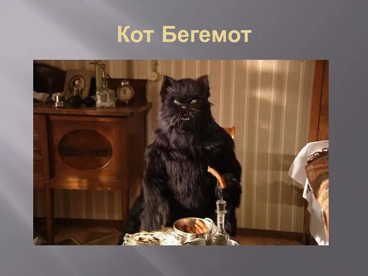 Кот Бегемот