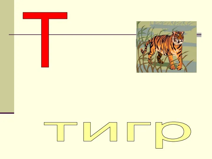 Т тигр