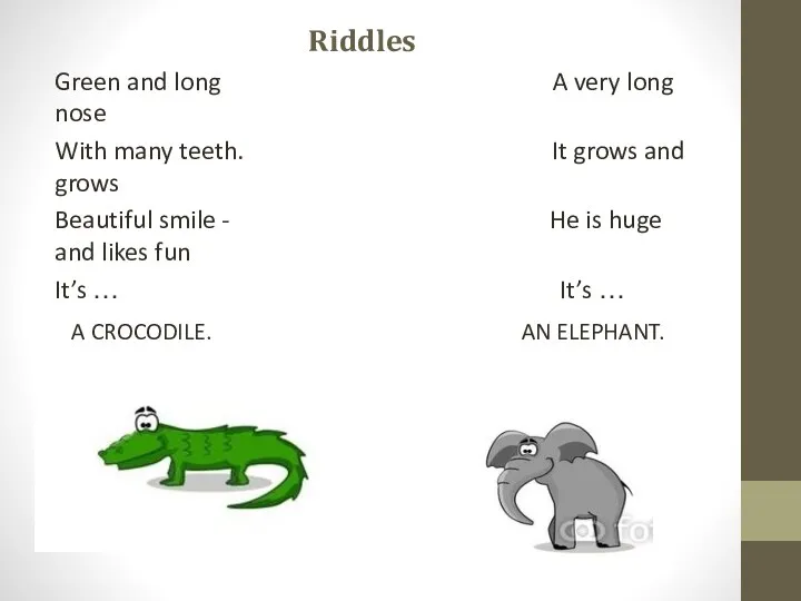 Riddles Green and long A very long nose With many