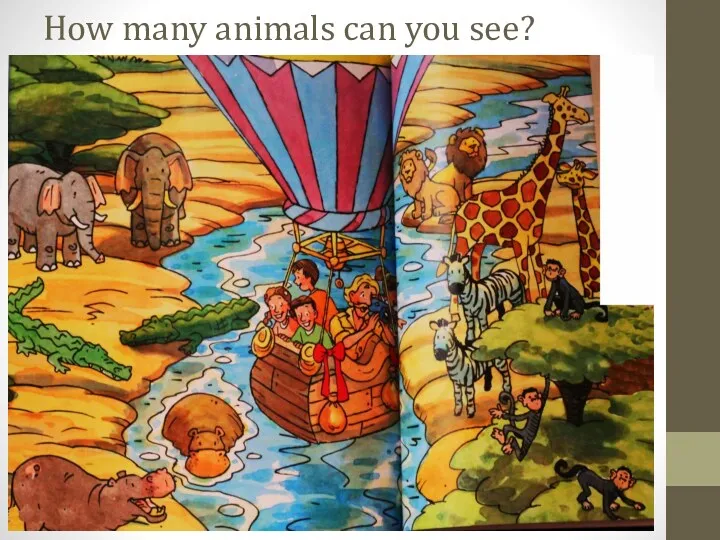 How many animals can you see?