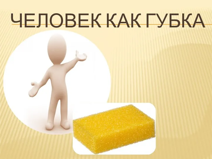 ЧЕЛОВЕК КАК ГУБКА