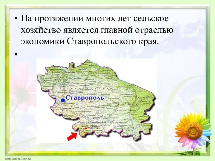 На протяжении многих лет сельское хозяйство является главной отраслью экономики Ставропольского края.