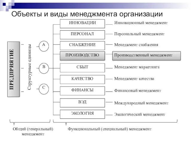 Объекты и виды менеджмента организации