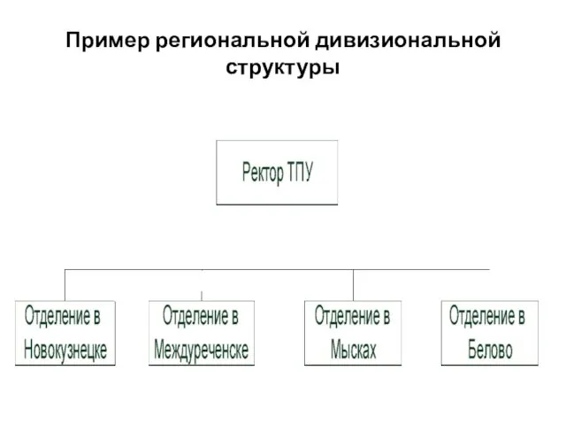 Пример региональной дивизиональной структуры