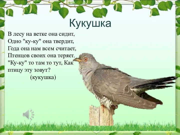 Кукушка В лесу на ветке она сидит, Одно "ку-ку" она