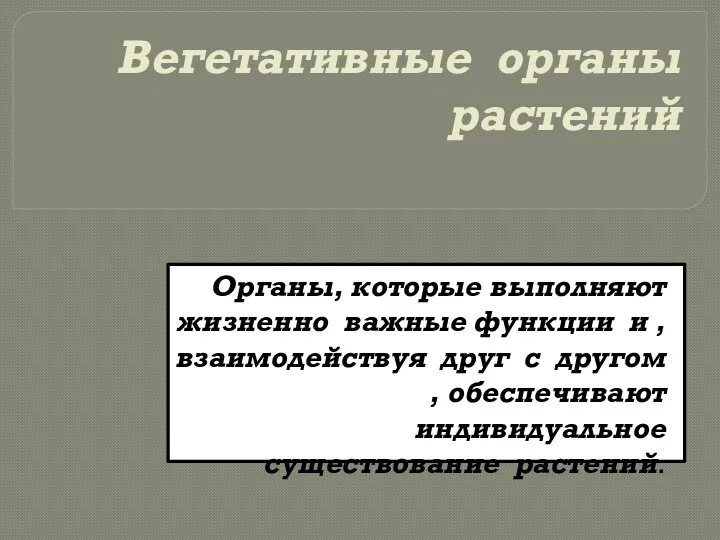 Вегетативные органы растений Органы, которые выполняют жизненно важные функции и