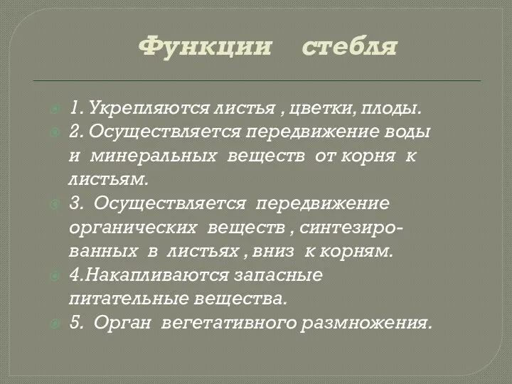 Функции стебля 1. Укрепляются листья , цветки, плоды. 2. Осуществляется