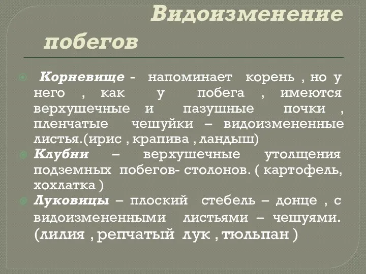 Видоизменение побегов Корневище - напоминает корень , но у него