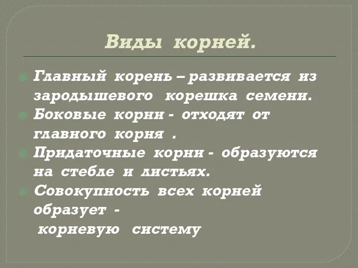 Виды корней. Главный корень – развивается из зародышевого корешка семени.