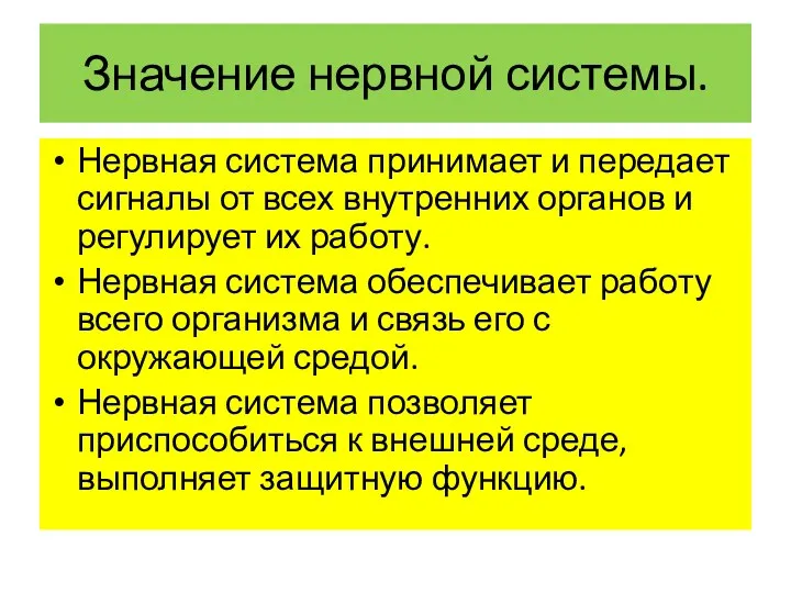 Значение нервной системы. Нервная система принимает и передает сигналы от