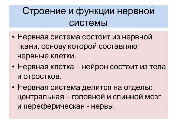 Строение и функции нервной системы Нервная система состоит из нервной