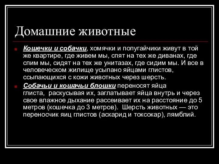 Домашние животные Кошечки и собачки, хомячки и попугайчики живут в той же квартире,