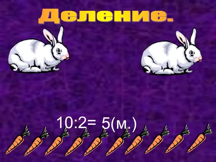 Деление. 10:2= 5(м.)