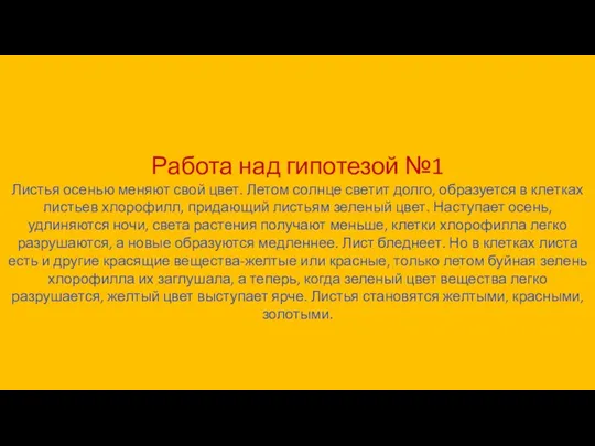 Работа над гипотезой №1 Листья осенью меняют свой цвет. Летом