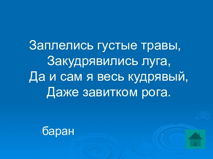 Заплелись густые травы, Закудрявились луга, Да и сам я весь кудрявый, Даже завитком рога. баран