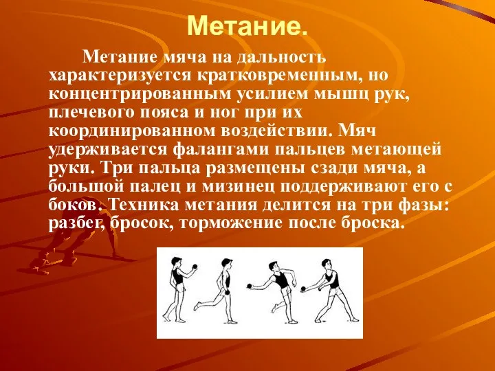 Метание. Метание мяча на дальность характеризуется кратковременным, но концентрированным усилием