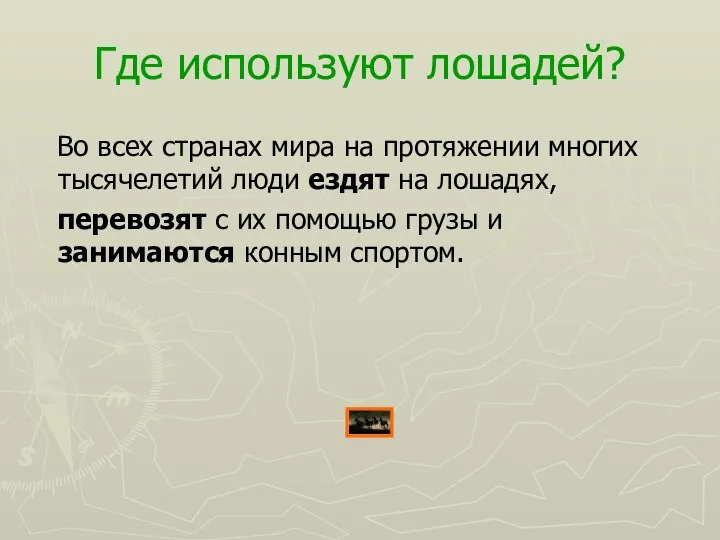 Где используют лошадей? Во всех странах мира на протяжении многих