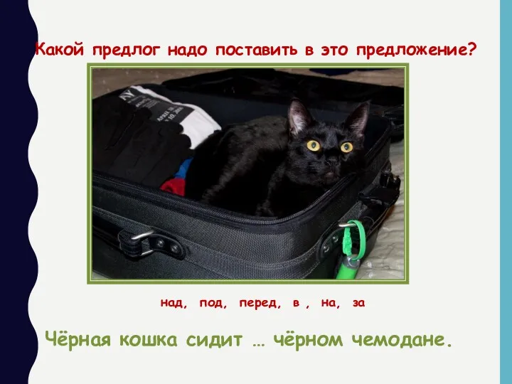 Чёрная кошка сидит … чёрном чемодане. Какой предлог надо поставить