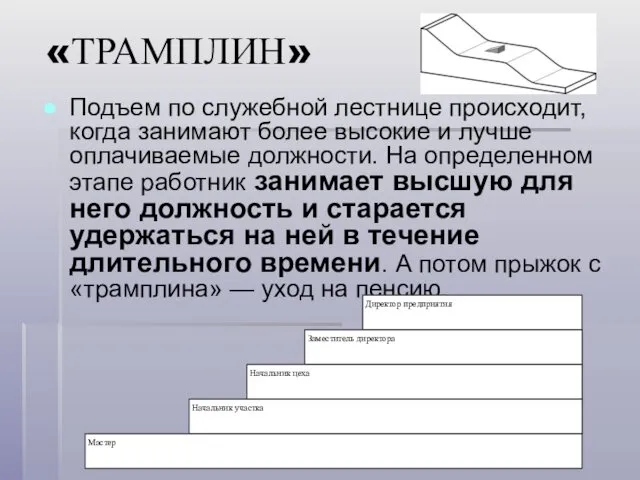 «ТРАМПЛИН» Подъем по служебной лестнице происходит, когда занимают более высокие и лучше оплачиваемые