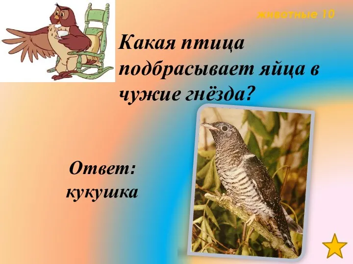 животные 10 Какая птица подбрасывает яйца в чужие гнёзда? Ответ: кукушка