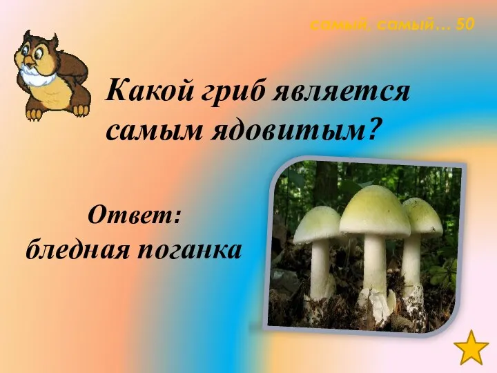 самый, самый… 50 Какой гриб является самым ядовитым? Ответ: бледная поганка