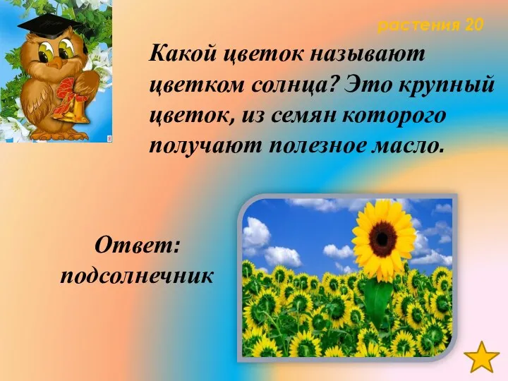 растения 20 Какой цветок называют цветком солнца? Это крупный цветок, из семян которого