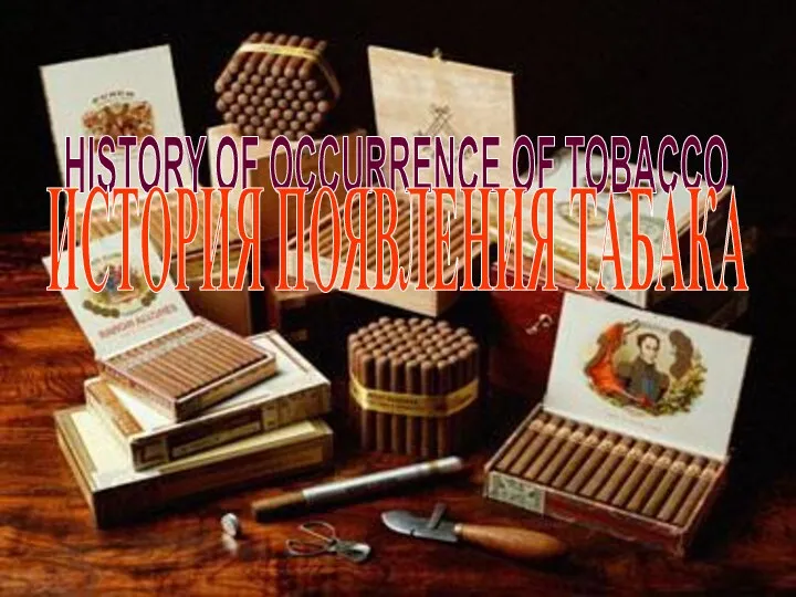 HISTORY OF OCCURRENCE OF TOBACCO ИСТОРИЯ ПОЯВЛЕНИЯ ТАБАКА