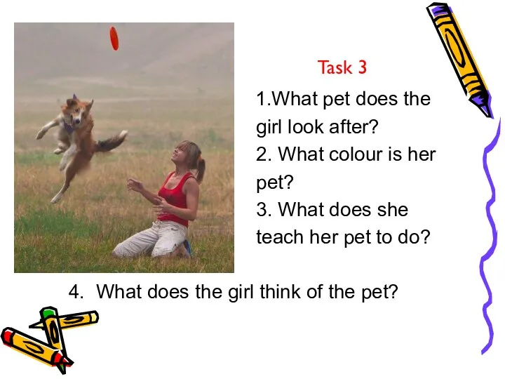 Task 3 1.What pet does the girl look after? 2.